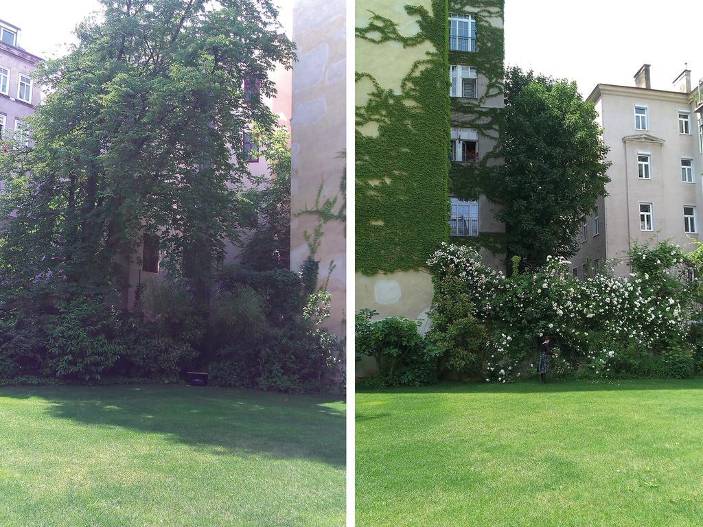 Garten Grunentorgasse Apartment